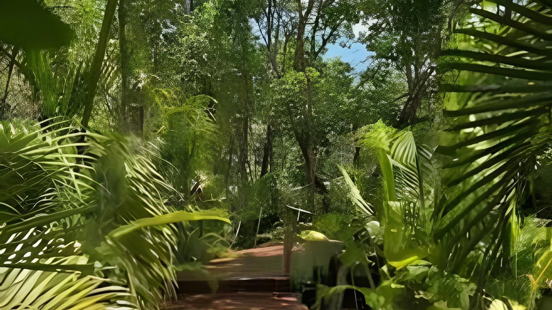 Oasis Yaaxlum Villa Tulum 0*,